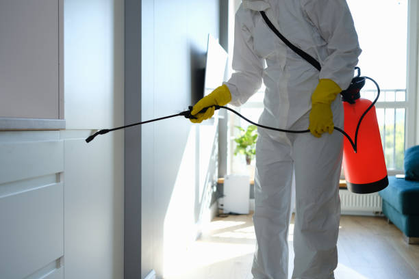 Water Damage Restoration in Bean Station, TN